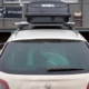 Boxy Peugeot 508 2019