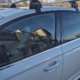 Bagażniki i akcesoria Audi A6 (C7) 2017