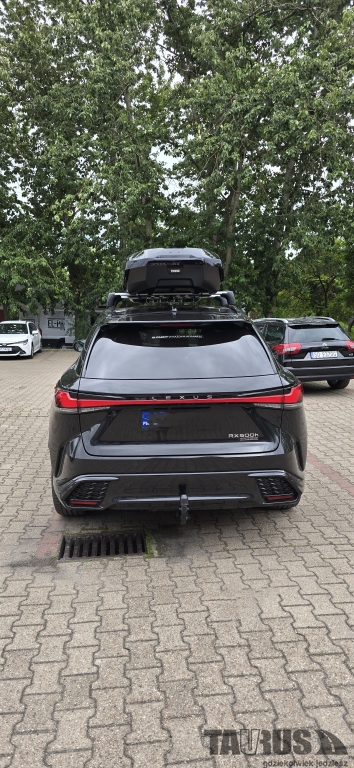 Boxy Lexus RX (V)(AL30) 2024