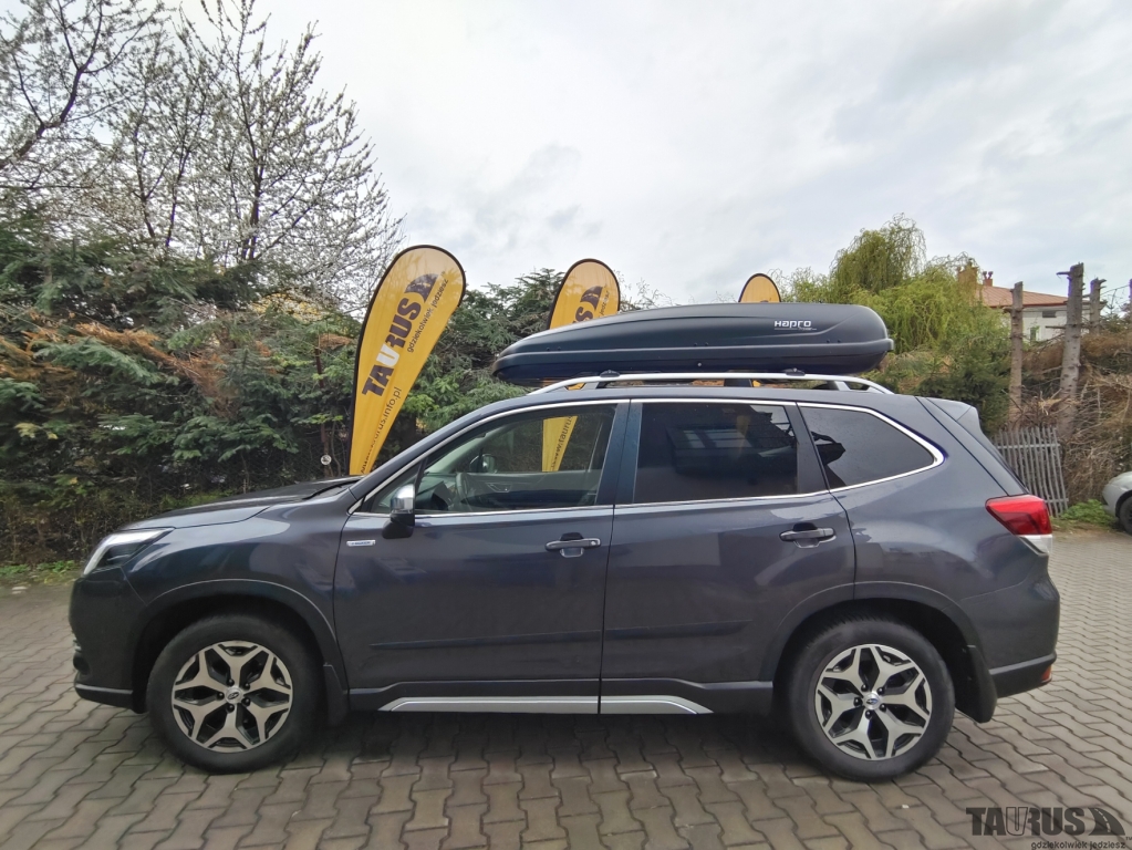 Boxy Subaru Forester 2024