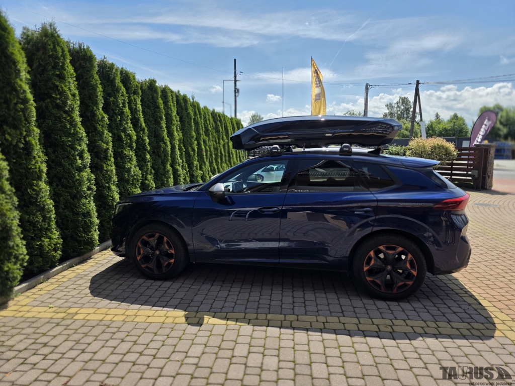 Boxy Cupra Terramar 2025